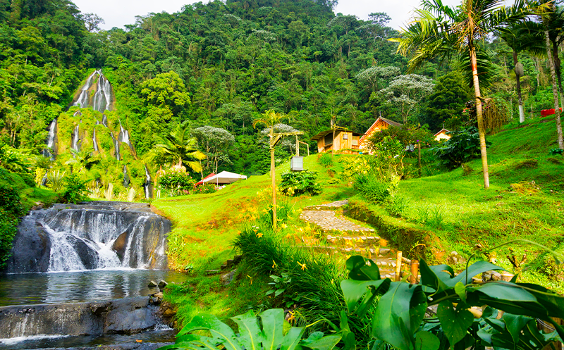 Stunning fall in the natural landscape of Colombia's Coffee Region