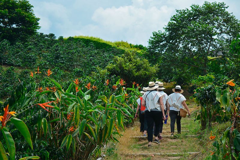 People enjoying their time at Finca del Café Colombian coffee brand state farm | Colombia Travel 