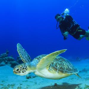 buceo en choco