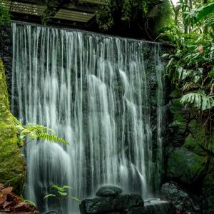 Foto Jardín botánico José Celestino mutis