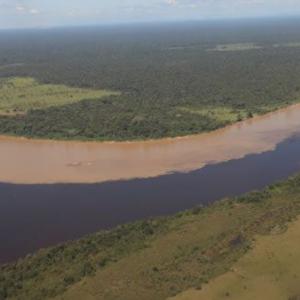 Foto de la estrella fluvial del oriente