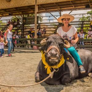 Der nationale Freizeitpark der Landwirtschaft – Panaca 