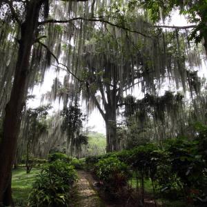 Parque Gallineral