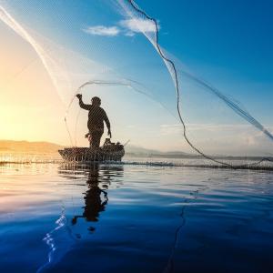 Imagen de pesca deportiva