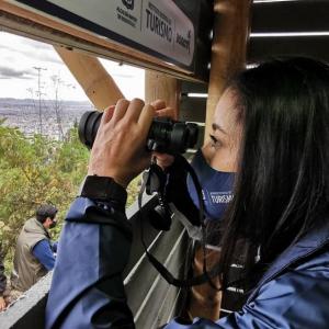 avistamiento de aves en colombia