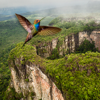 Un lugar donde la extraordinaria naturaleza se mezcla con la riqueza arqueológica para formar este majestuoso territorio en el corazón de la Amazonía Colombiana