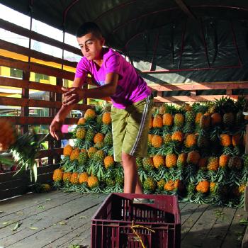 Una aventura gastronómica te espera en las plazas de mercado colombianas