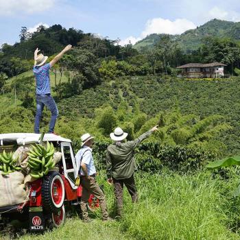 Café colombiano en el Paisaje Cultural Cafetero