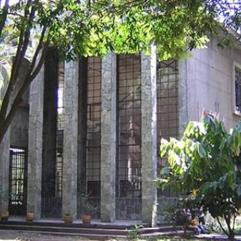 Foto Museo Entomológico Francisco Luis Gallego