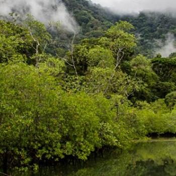 Parc National Naturel Utría