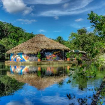 photo of Bioparque Los Ocarros