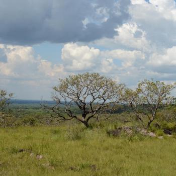 Camina por la Serranía de La Lindosa