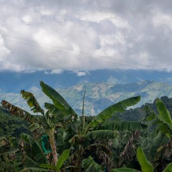 Disfruta de la cultura cafetera en Aguadas