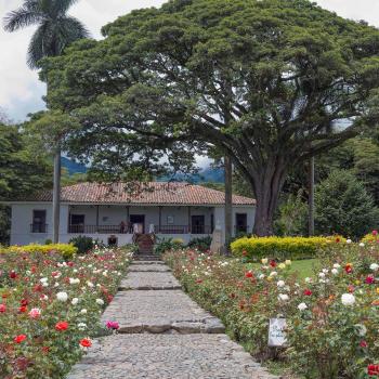 Vista panorámica de la Hacienda el Paraíso ubicada en Palmira