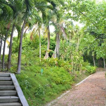 Jardín Botánico