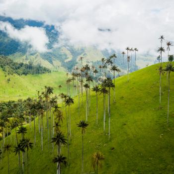 Valle del Cocora, Salento