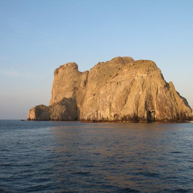 Photo Malpelo Fauna and Flora Sanctuary