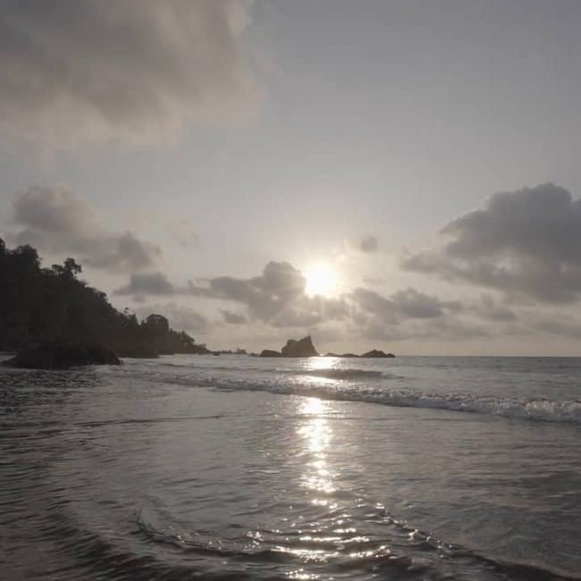 Chocó ballenas