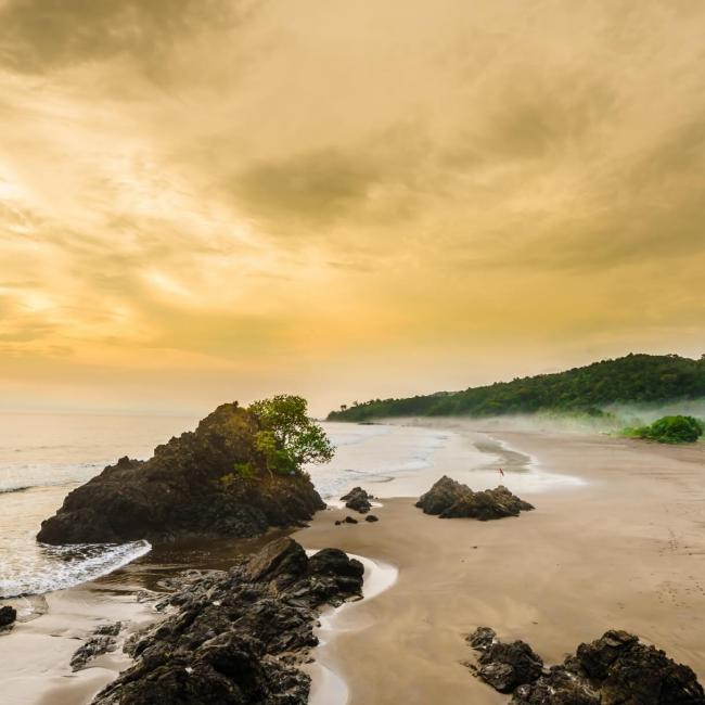 Bahía Solano: a paradise for turtles