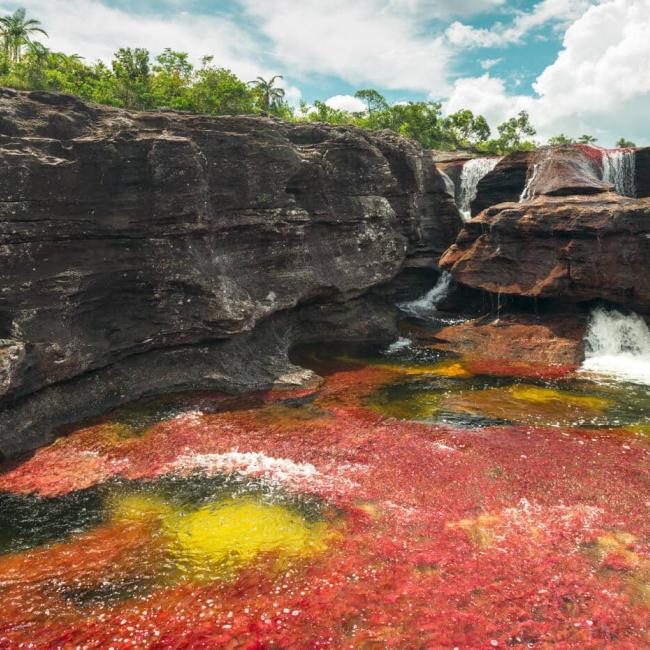 Caño cristales