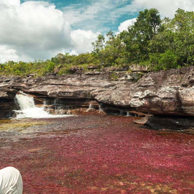 Caño Cristales